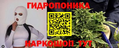 Альфа ПВП Можга