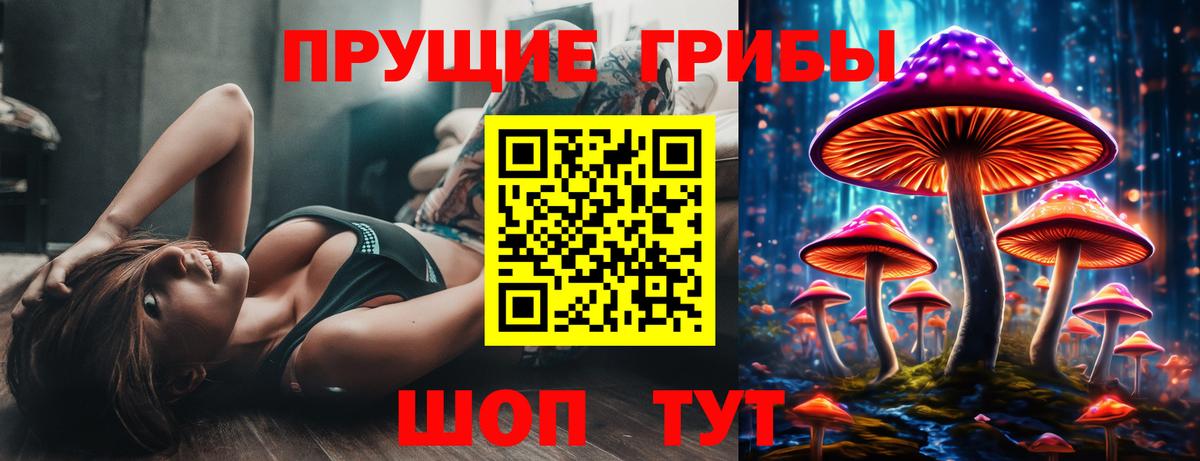 Галлюциногенные грибы GOLDEN TEACHER Екатеринбург